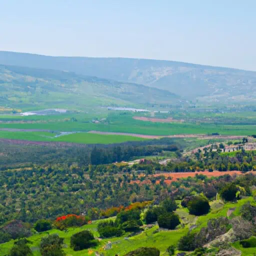 עד איזה גיל עושים מילואים בישראל